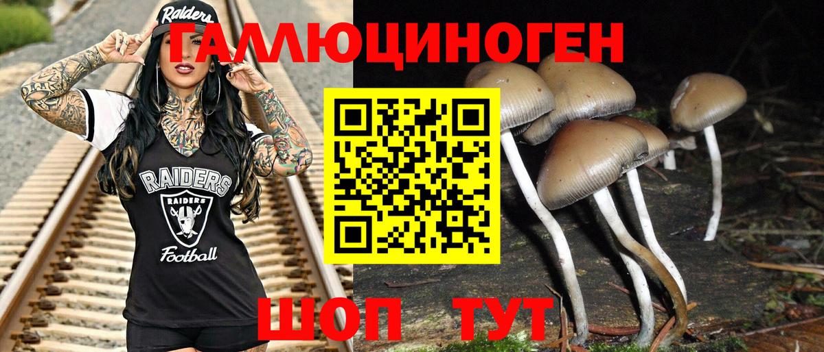 Галлюциногенные грибы MAGIC MUSHROOMS  Вход с VPN  Галлюциногенные грибы Psilocybe  Чехов 